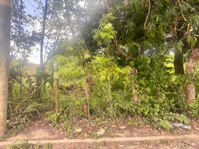 TERRENO EN VENTA EN COL REVOLUCION VERDE, POZA RICA