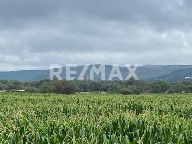 TERRENO EN VENTA EN COLÓN QUERETARO
