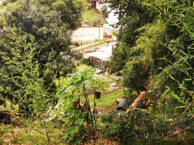 TERRENO EN VENTA EN COLONIA ARROYO BLANCO XALAPA VERACRUZ