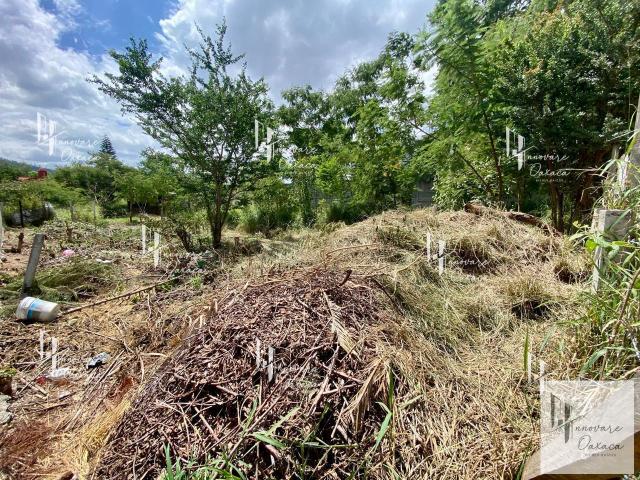 Terreno en venta en Colonia Estado de Oaxaca, San Mart?n Mexicapam, Oaxaca