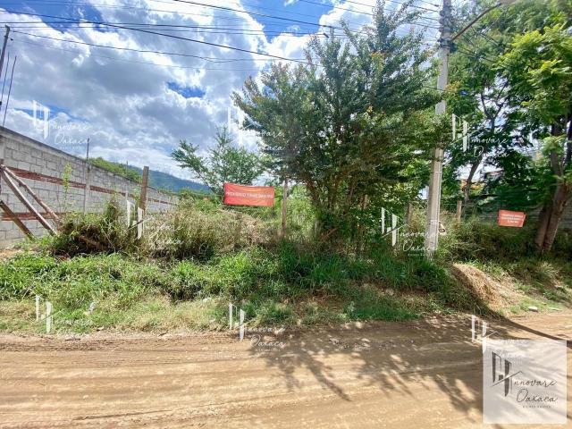 Terreno en venta en Colonia Estado de Oaxaca, San Mart?n Mexicapam, Oaxaca