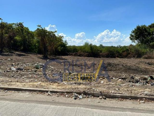 TERRENO EN VENTA EN COLONIA LAS PALMAS