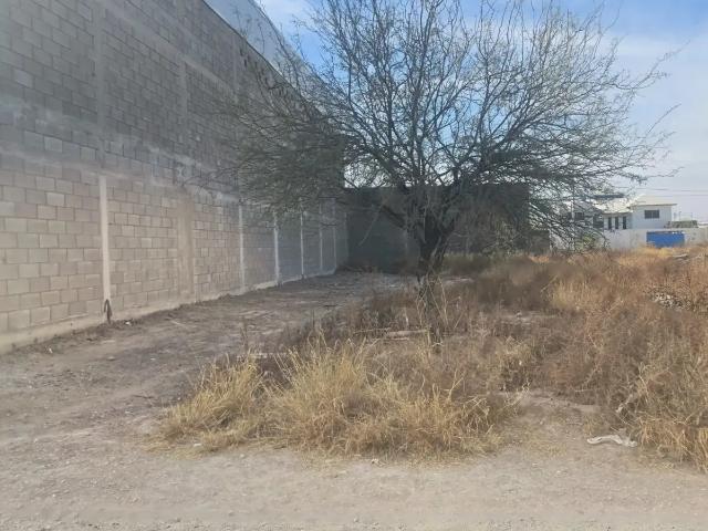 Terreno en Venta en Colonia María Mercado Lopez Sanchez, Torreon