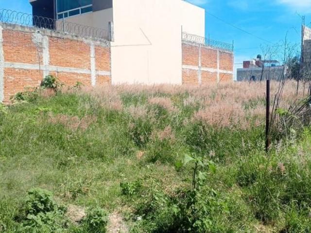Terreno En Venta Cerca de VW Y FINSA, Nueva Alemania