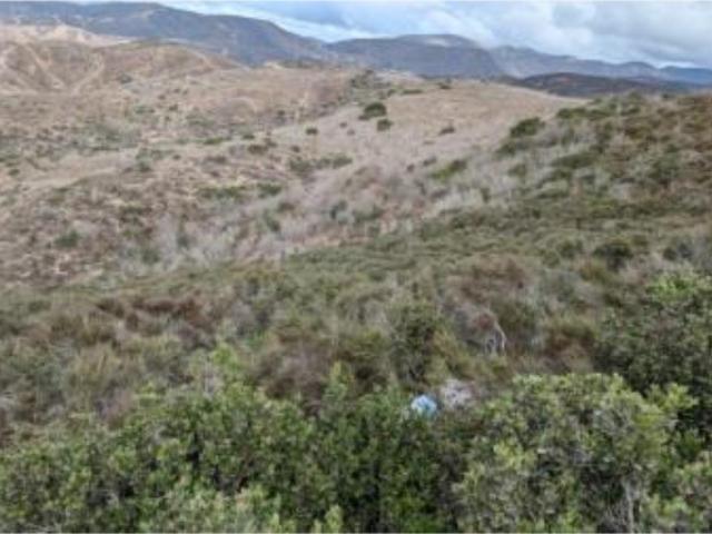 Terreno en venta en Colinas del Sauzal, Ensenada, Baja California