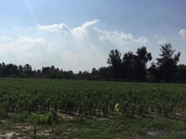TERRENO EN VENTA EN CONCEPCIÓN DEL VALLE TLAJOMULCO LA CONCHA