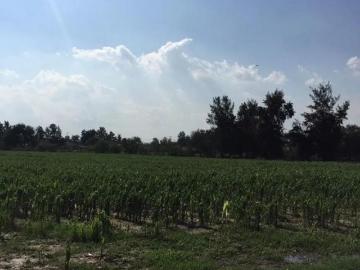 TERRENO EN VENTA EN CONCEPCIÓN DEL VALLE TLAJOMULCO LA CONCHA