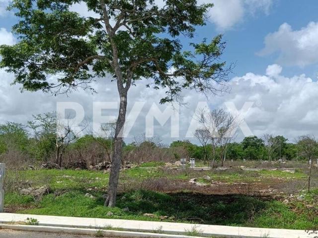Terreno en Venta en Conkal