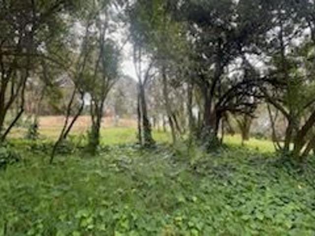 TERRENO EN VENTA EN CONTADERO