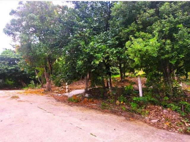 Terreno en venta en Coquelequixtlan, Tuxtla Gutiérrez, Chiapas