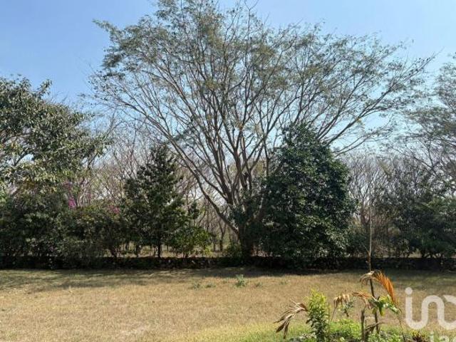 TERRENO EN VENTA EN COTO PRIVADO EN MEDIO DE LA NATURALEZA, COMALA, COLIMA