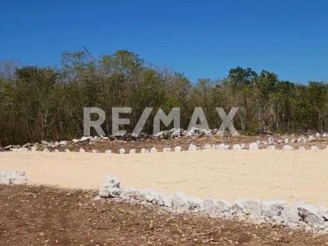 Terreno en Venta en Dzidzantún, Yucatán