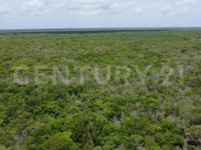 Terreno en Venta en Dzilam de Bravo, Yucatán