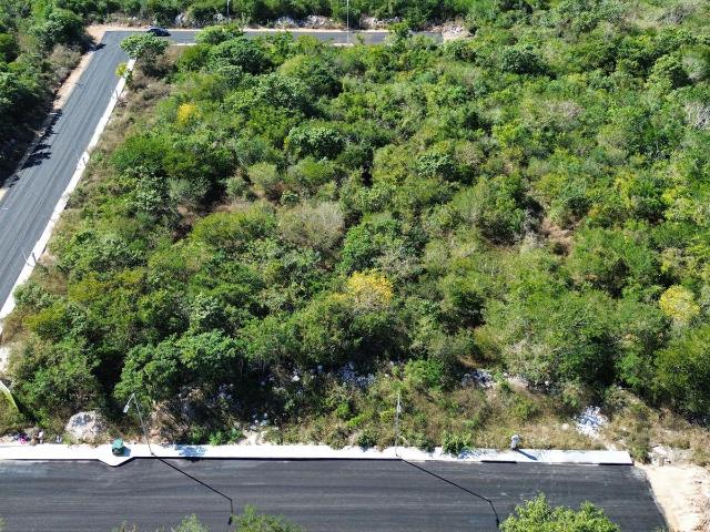 Terreno en Venta en Dzity?