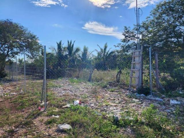 TERRENO EN VENTA EN DZITYÁ