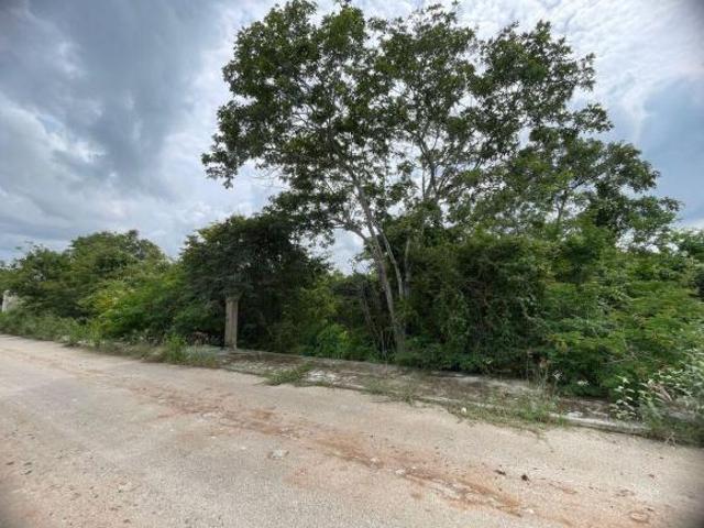 Terreno en venta en Dzitya en Mérida Yucatán