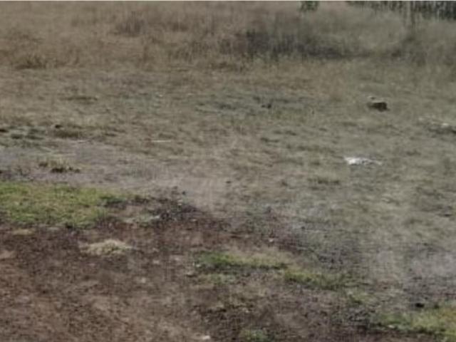 Terreno en venta en Del Calvario, Zinacantepec, México