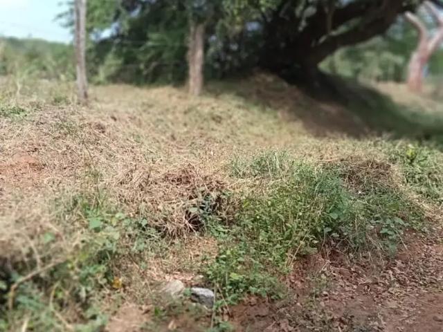 Terreno en venta en Delfino Victoria santa Fe, Veracruz, Veracruz de Ignacio de la Llave