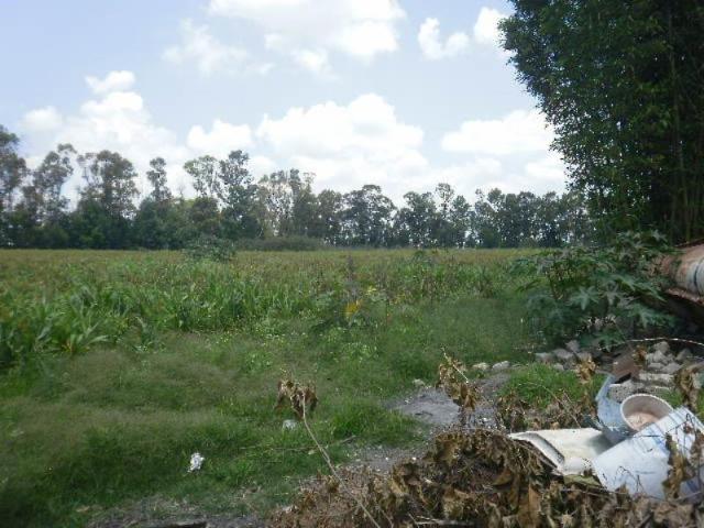 Terreno en venta en Desarrollo El Potrero, León, Guanajuato
