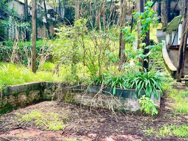 TERRENO EN VENTA EN DESIERTO DE LOS LEONES SAN BARTOLO AMEYALCO