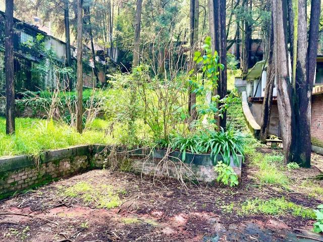TERRENO EN VENTA EN DESIERTO DE LOS LEONES SAN BARTOLO AMEYALCO