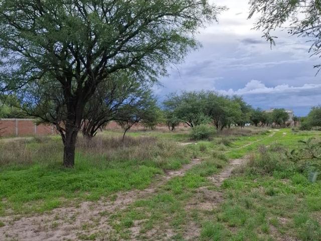 Terreno en Venta en Dolores del Rio Durango