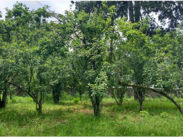 Terreno en venta en Explanada del Carmen, San Cristóbal de las Casas, Chiapas