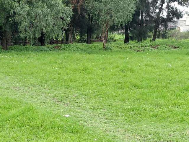 Terreno en Venta en Ecatepec Ideal para Desarrollo