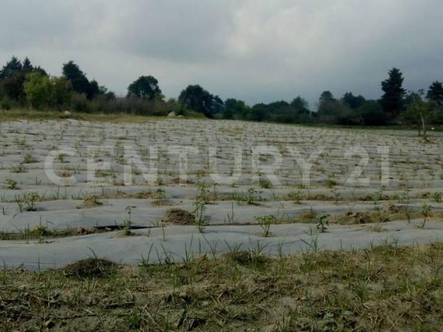 Terreno en Venta en Edo. de M?xico, Atlautla
