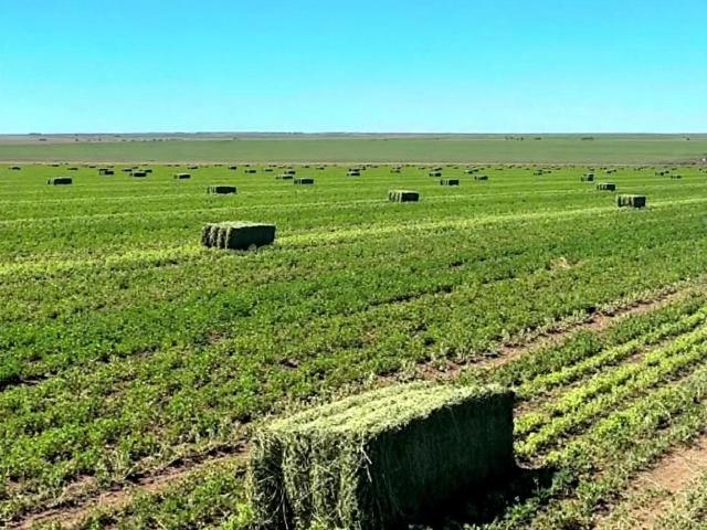 Terreno en Venta en Ejido Dolores del Rio Durango