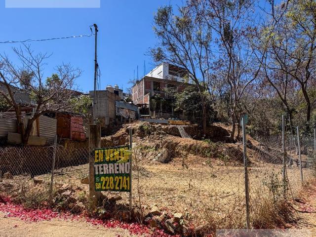 Terreno en venta en ejido guadalupe victoria