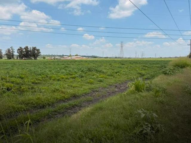 Terreno en Venta en Ejido La Palma
