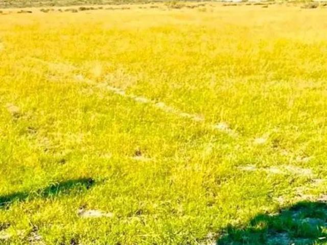 Terreno en venta en Ejido Providencia