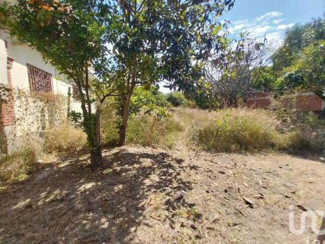TERRENO EN VENTA EN EJUTLA DE CRESPO, OAXACA