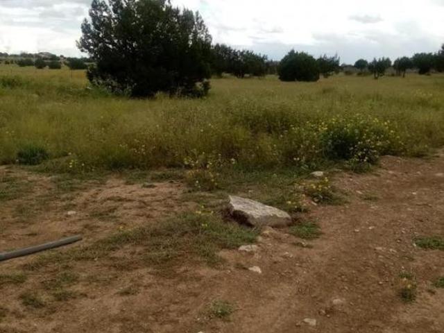 Terreno en venta en el Mimbre, Cuauhtémoc, Chihuahua