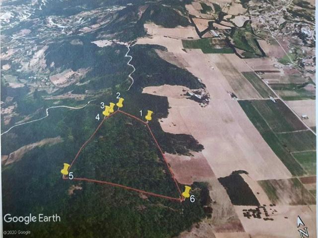 Terreno en venta en El Molino, Zacapoaxtla, Puebla