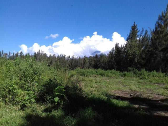 Terreno en venta en El Naranjal, Villa de Álvarez, Colima