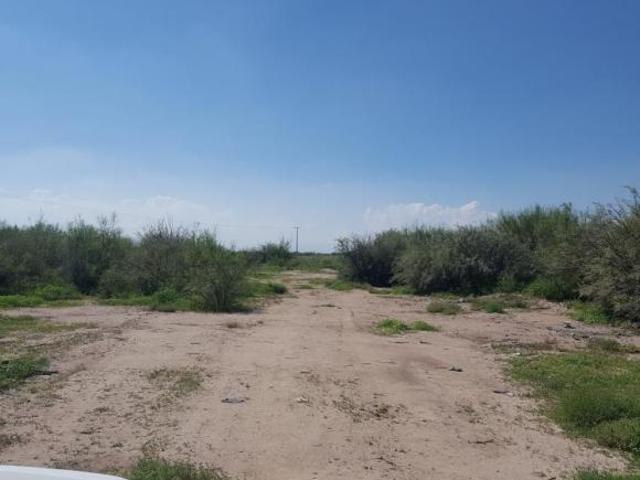TERRENO EN VENTA EN EL OLIVO, MATAMOROS, COAH