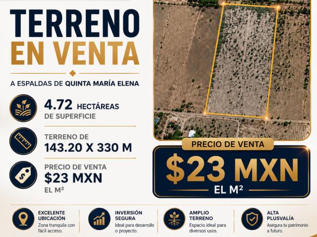 TERRENO EN VENTA EN EL ORO, COAHUILA