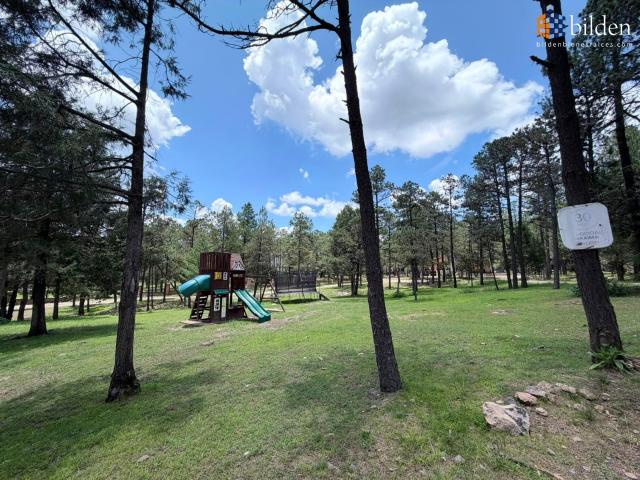 Terreno en Venta en El Oso Durango
