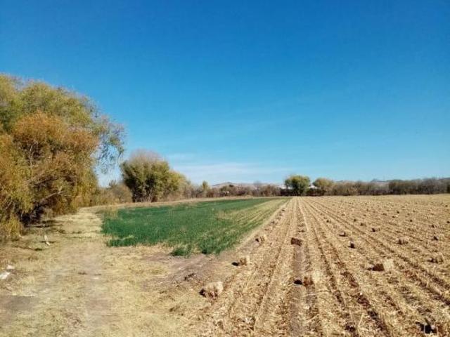 TERRENO EN VENTA EN EL CAMPO 25 LIBRAMIENTO JUNTO A PLANTA TRATADORA DE AGUA