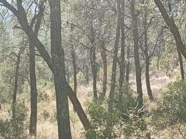 TERRENO EN VENTA EN EL CEDRITO ARTEAGA
