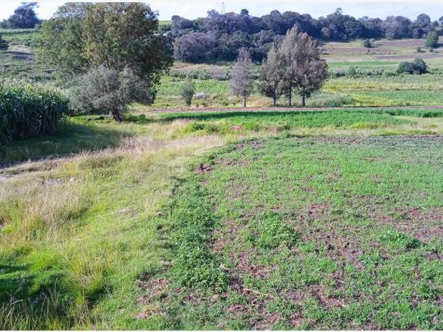 Terreno en venta en El Colorado, Aculco, México