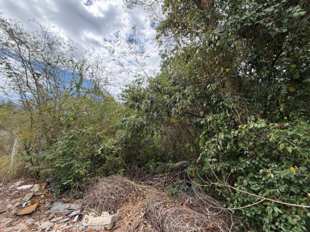 Terreno en venta en el Ejido playa del carmen