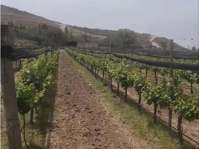 Terreno en venta en El Lobo, El Marqués, Querétaro
