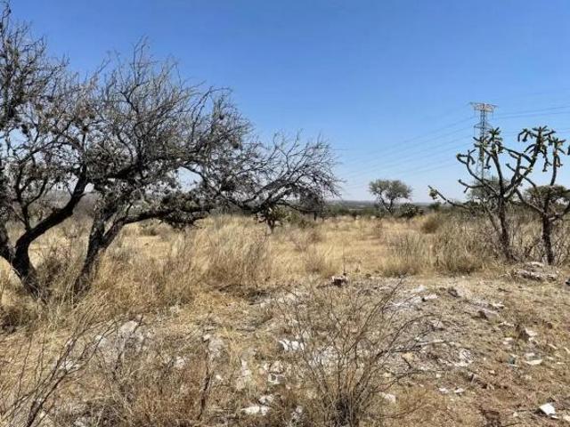 Terreno en Venta en El Loretito, San Francisco de Los Romo, Ags GA