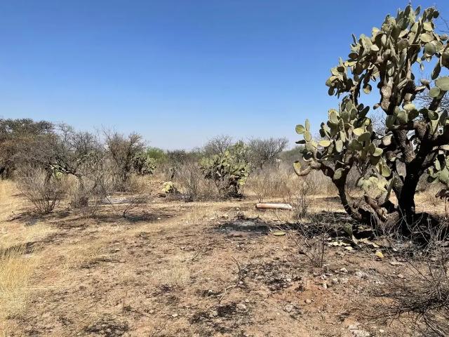 Terreno en Venta en El Loretito, San Francisco de Los Romo, Ags GA