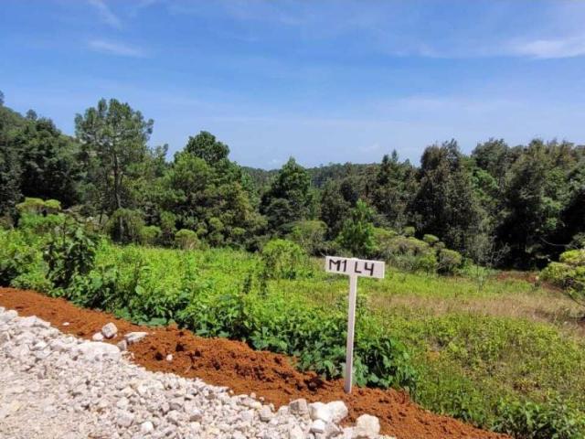 Terreno en venta en El Pinar, San Cristóbal de las Casas, Chiapas