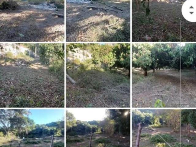 TERRENO EN VENTA EN EL POBLADO DE LA PALMA, SAN BLAS, NAY. CG