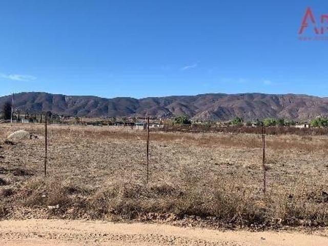 TERRENO EN VENTA EN EL PORVENIR/Rustic Land for Sale